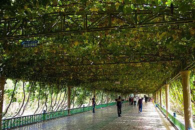 动作肉鸽《诸子无双》11月15日正式版发售 首周限时九折